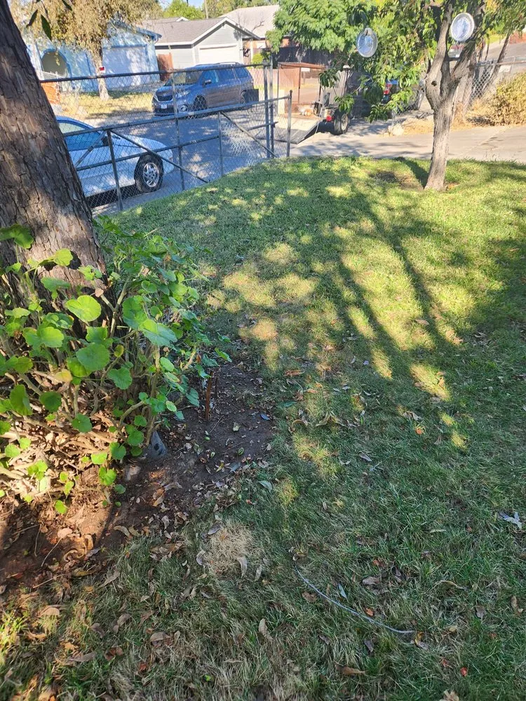 Local landscaping services for outdoor upgrades across Sacramento, CA - Miracle lawns service
