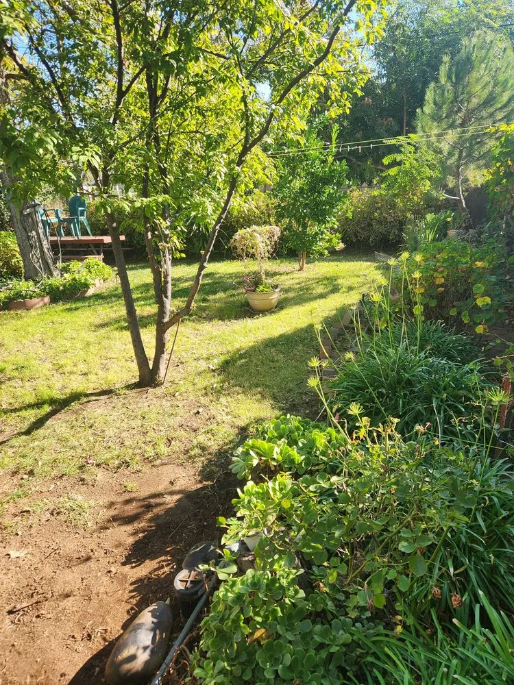 Top-rated residential landscaping for homes across Sacramento, CA - Miracle lawns service