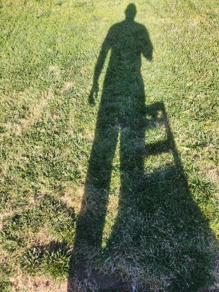 Expert yard cleanup service for outdoor upgrades in Sacramento, CA by Miracle lawns service