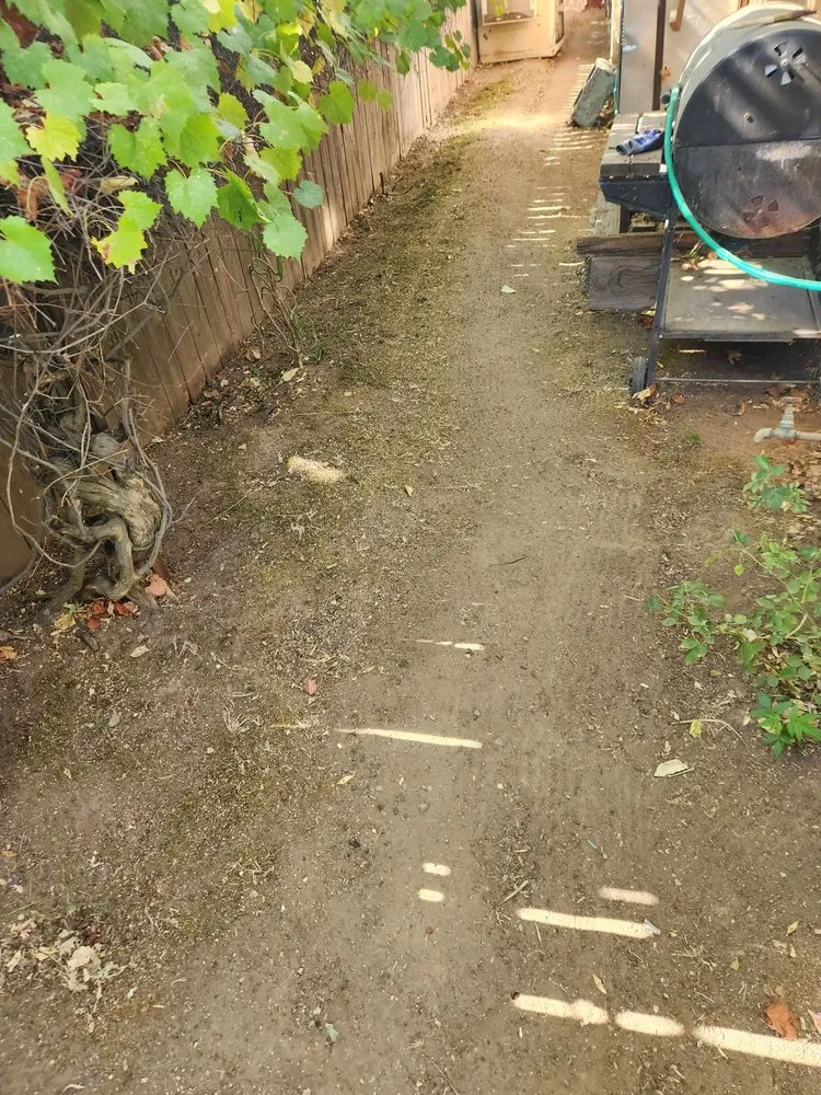 Affordable landscape design near you in Sacramento, CA by Miracle lawns service