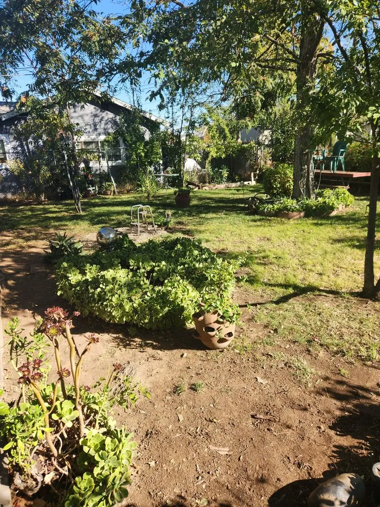 Affordable landscaping services in Sacramento, CA by Miracle lawns service