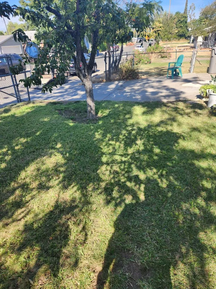 Reliable landscape installation for homes in Sacramento, CA by Miracle lawns service