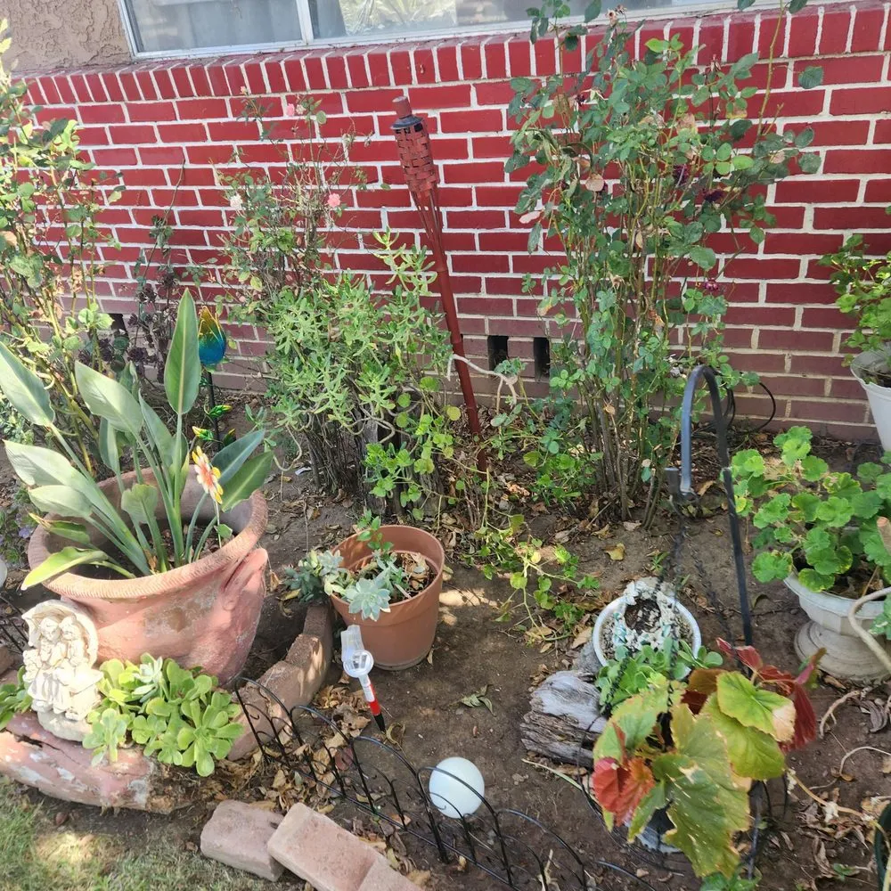 Reliable landscape design experts serving Sacramento, CA - Miracle lawns service