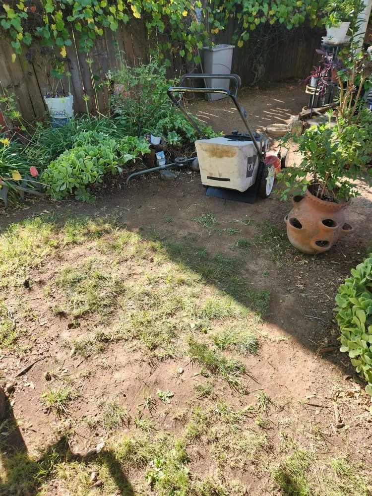 Top-rated yard maintenance for year-round maintenance across Sacramento, CA - Miracle lawns service