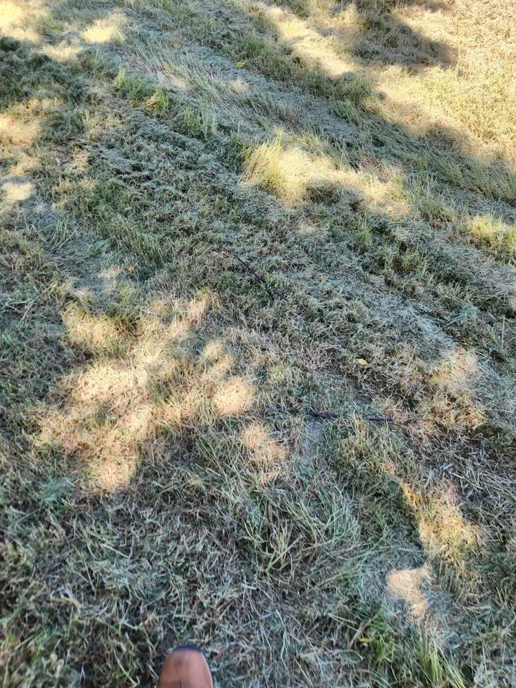 Top-rated landscaping services in Sacramento, CA by Miracle lawns service