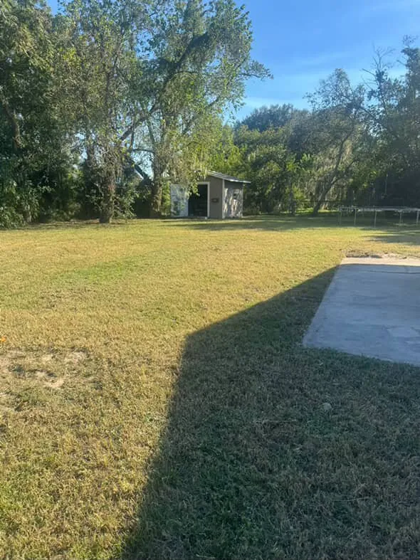 Expert residential landscaping for residential properties across Winter Haven, FL - Miracle Lawns