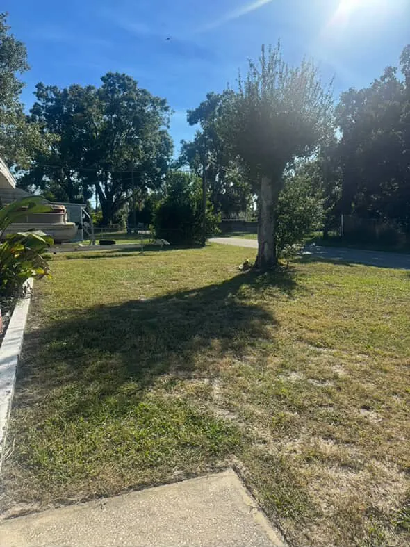 Affordable lawn care service in Winter Haven, FL - Miracle Lawns