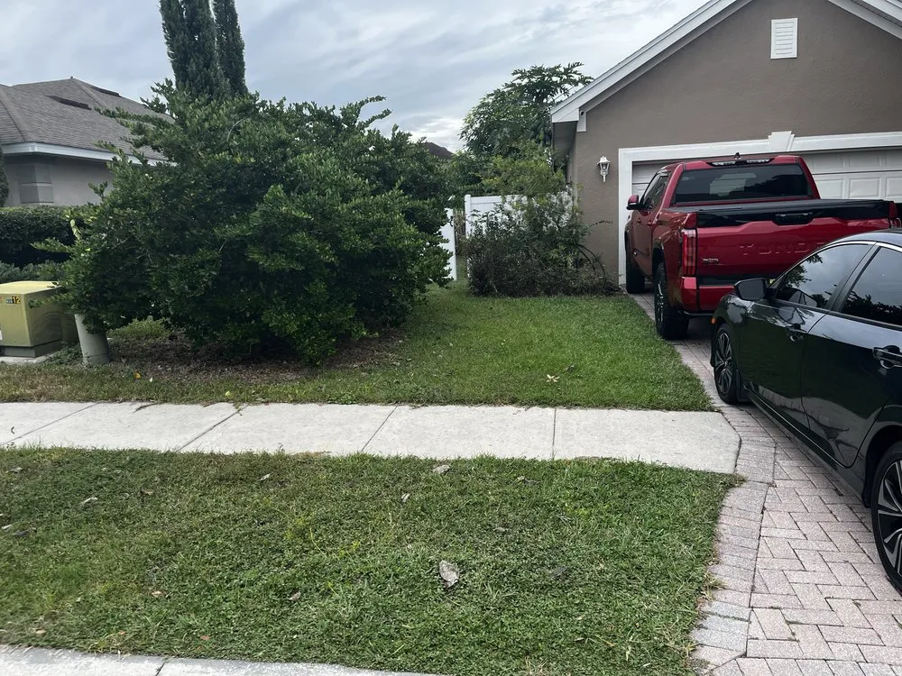 Reliable outdoor landscaping experts serving Winter Haven, FL - Miracle Lawns
