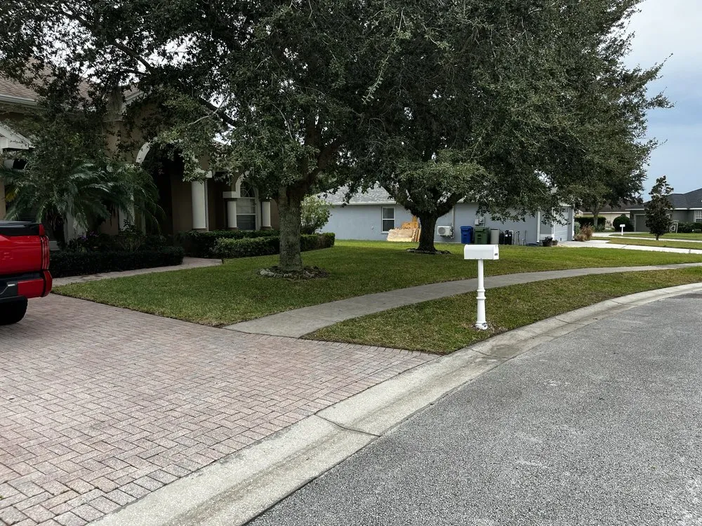 Local yard cleanup service in Winter Haven, FL - Miracle Lawns