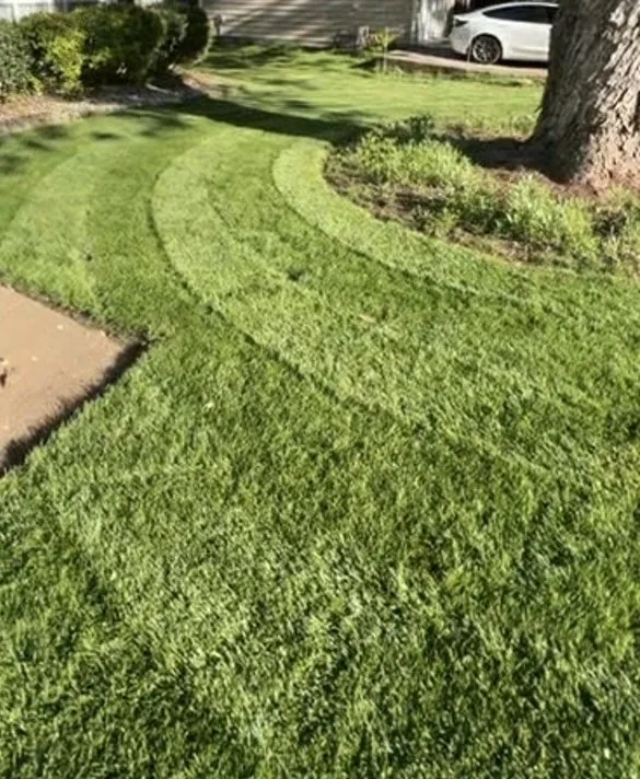 Affordable outdoor landscaping with custom design across Kennesaw, GA - Miracle Meadows