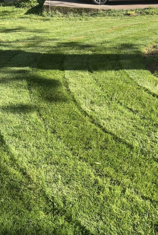 Top-rated landscape installation in Kennesaw, GA by Miracle Meadows