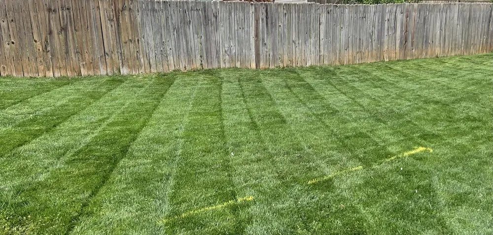 Custom landscape installation in Kennesaw, GA - Miracle Meadows