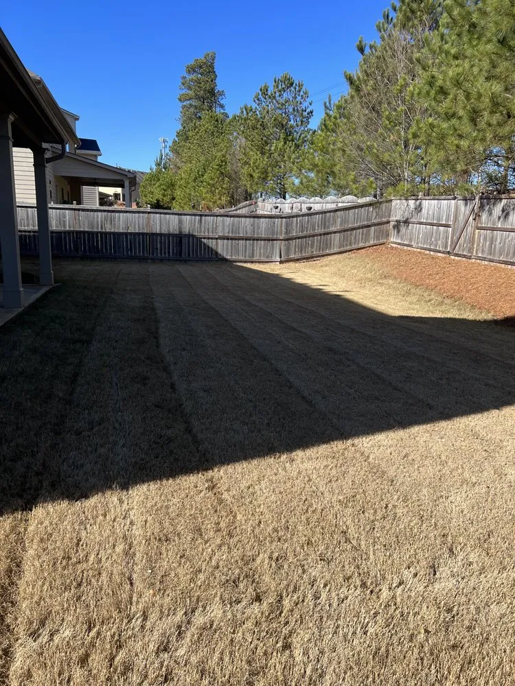 Top-rated landscape design experts serving Kennesaw, GA - Miracle Meadows