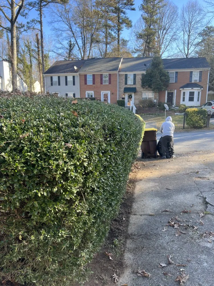 Professional lawn care service in Kennesaw, GA - Miracle Meadows