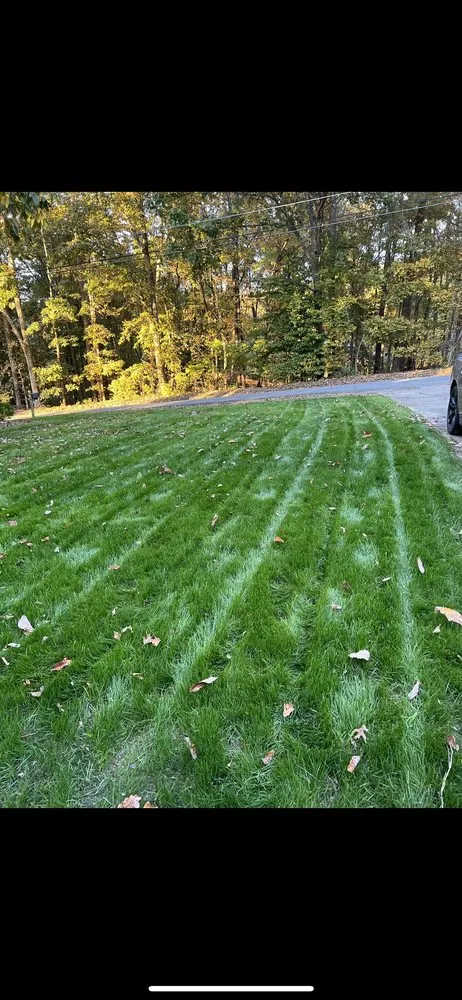 Custom garden landscaping for outdoor upgrades in Kennesaw, GA by Miracle Meadows