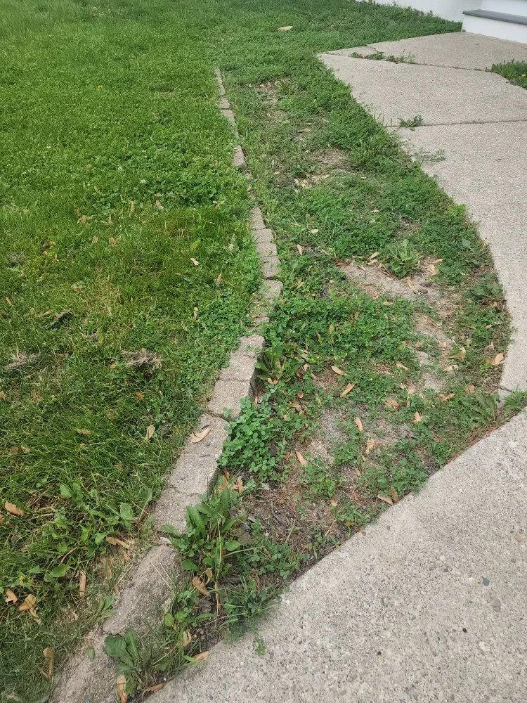 Reliable garden landscaping in Lansing, MI - Miracle property maintenance