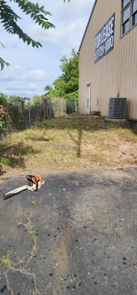 Affordable yard cleanup service in Lansing, MI - Miracle property maintenance