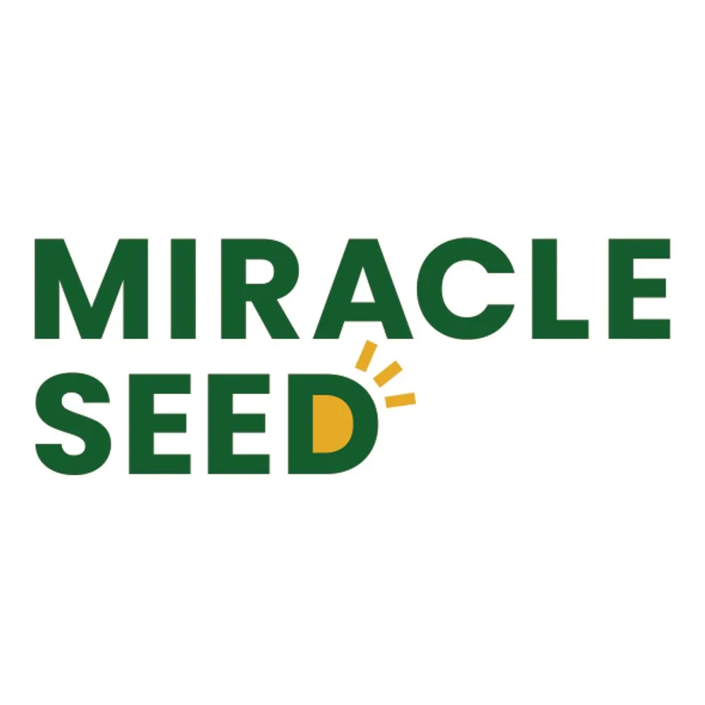 Trusted landscaping services for year-round maintenance in Chester, VA by Miracle Seed
