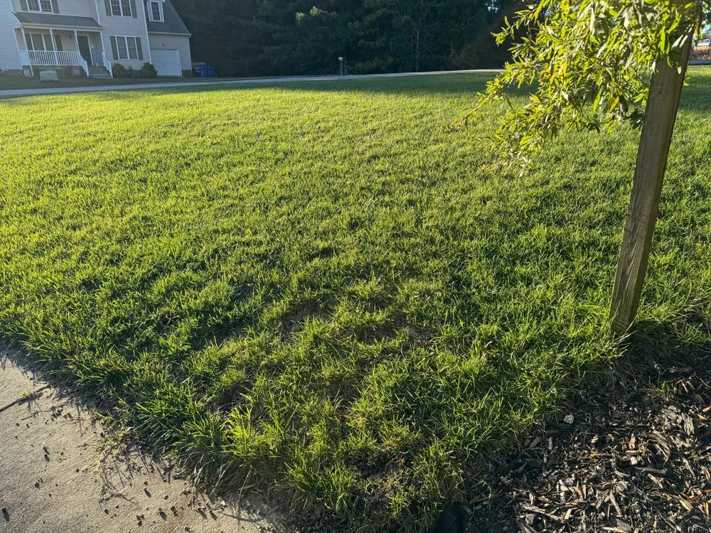 Reliable garden landscaping experts serving Chester, VA - Miracle Seed