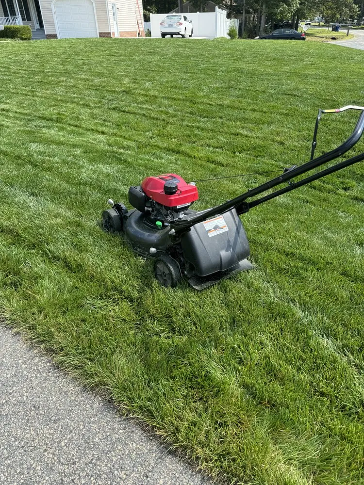 Professional landscape installation in Chester, VA by Miracle Seed