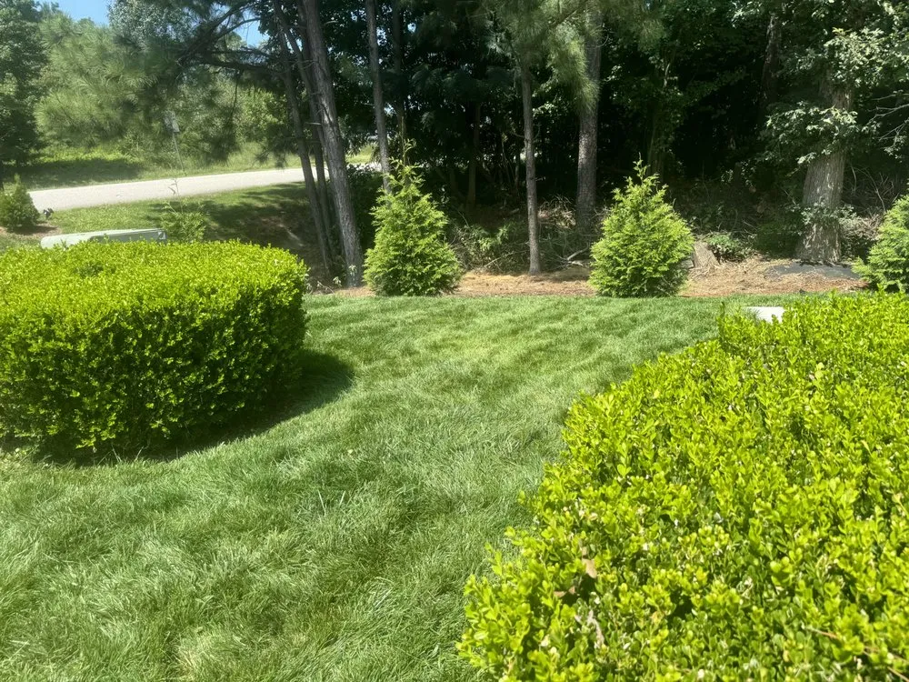 Trusted landscaping services for homes in Chester, VA by Miracle Seed