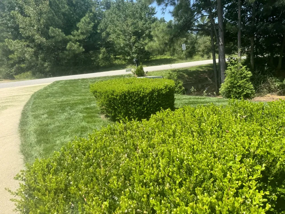 Trusted residential landscaping for beautiful yards across Chester, VA - Miracle Seed