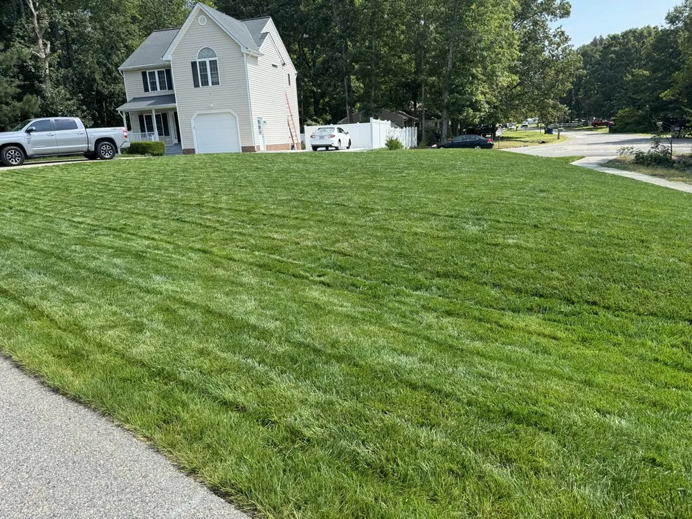 Top-rated landscaping services in Chester, VA by Miracle Seed