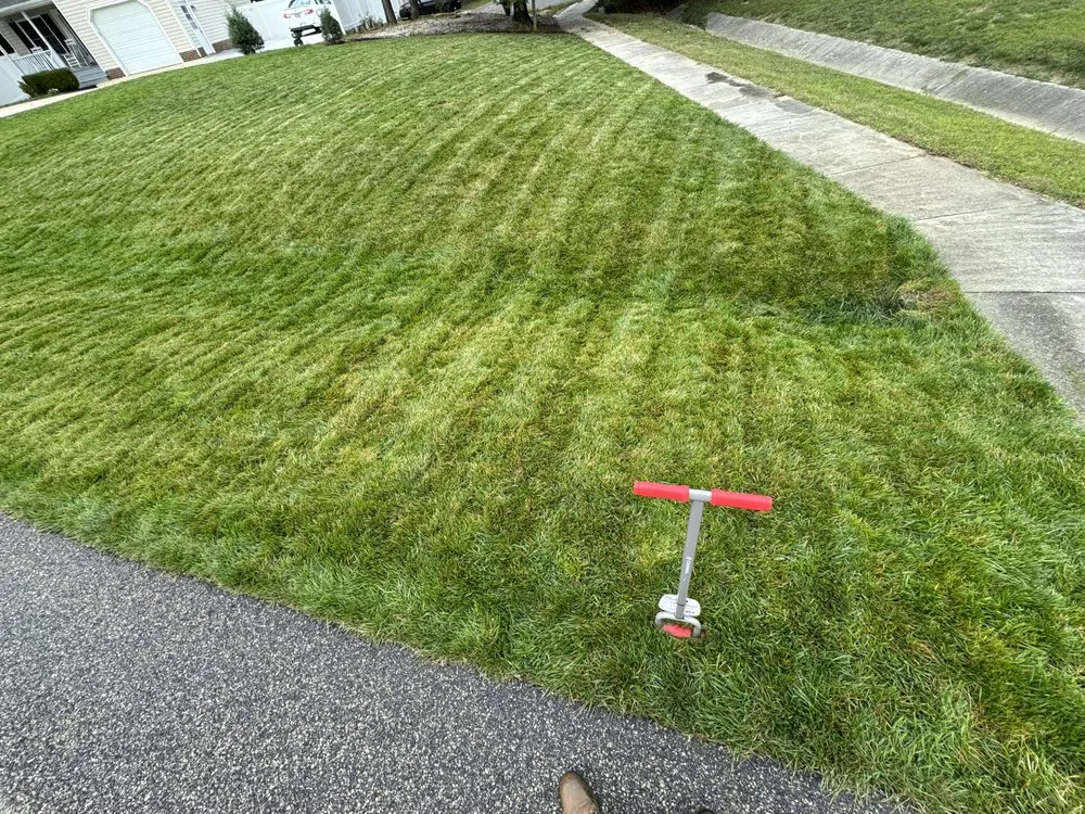 Top-rated outdoor landscaping for beautiful yards in Chester, VA by Miracle Seed