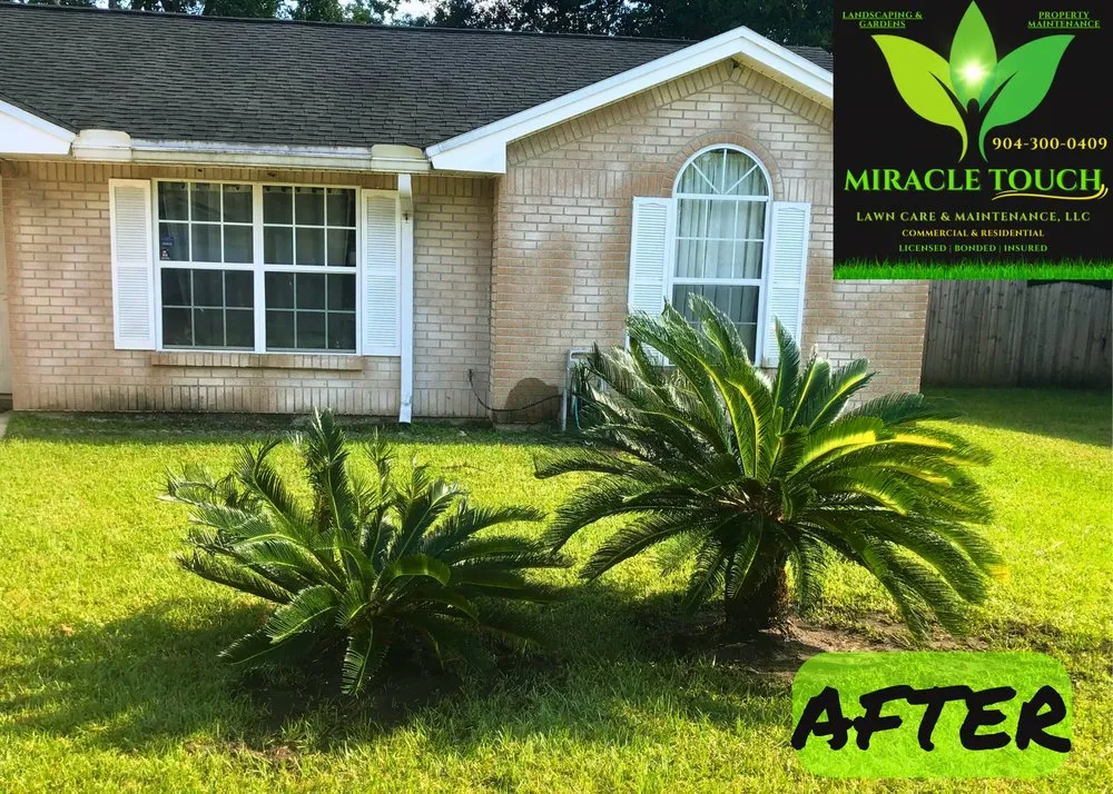 Trusted yard maintenance in Jacksonville, FL - Miracle Touch Property Maintenance