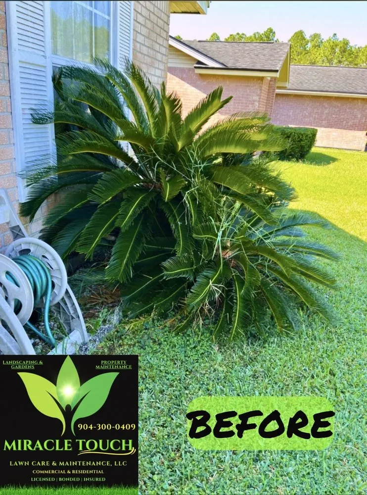 Trusted yard cleanup service experts serving Jacksonville, FL - Miracle Touch Property Maintenance