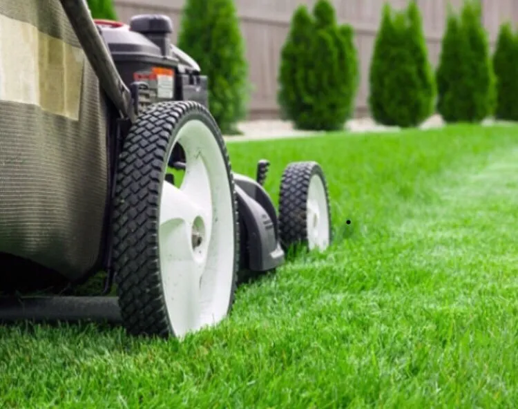 Reliable lawn care service near you across Ingleside, TX - Miracle Yard Care