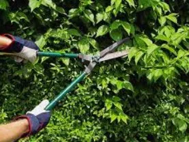 Reliable outdoor landscaping in Ingleside, TX - Miracle Yard Care