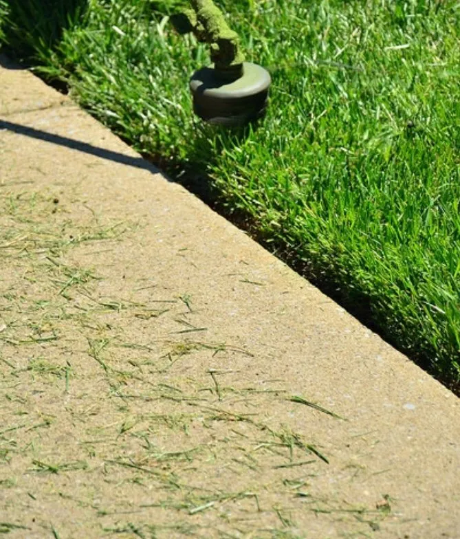 Affordable outdoor landscaping experts serving Ingleside, TX - Miracle Yard Care