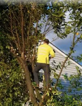 Local yard maintenance in Ingleside, TX by Miracle Yard Care