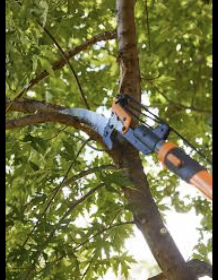 Professional landscaping services in Ingleside, TX - Miracle Yard Care