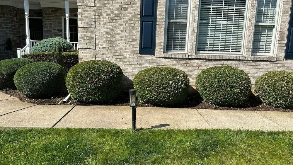 Professional garden landscaping with custom design in Dale City, VA by Miracles Landscaping