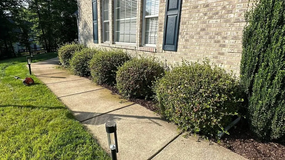 Affordable landscape design with custom design across Dale City, VA - Miracles Landscaping