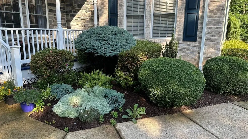 Expert landscape installation for homes across Dale City, VA - Miracles Landscaping