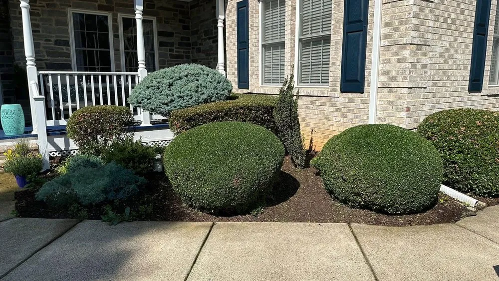 Expert outdoor landscaping experts serving Dale City, VA - Miracles Landscaping
