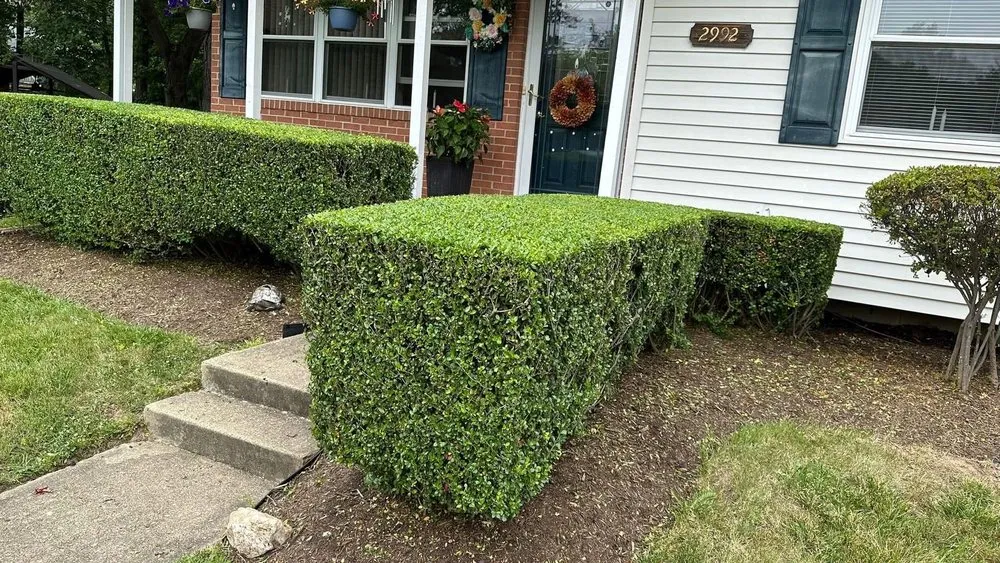Professional garden landscaping for residential properties in Dale City, VA by Miracles Landscaping