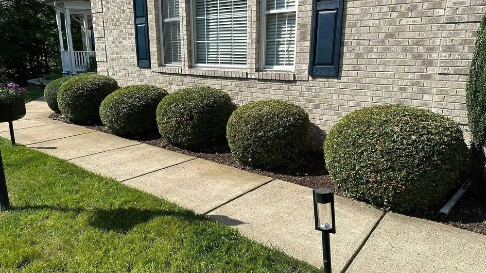 Professional yard maintenance experts serving Dale City, VA - Miracles Landscaping