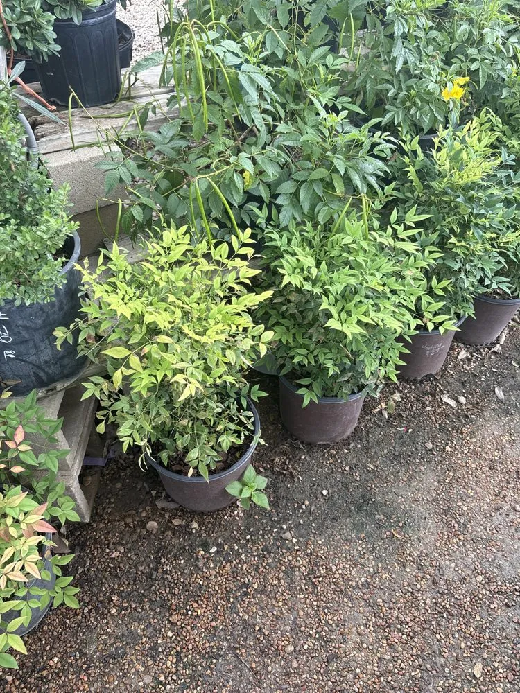 Top-rated lawn care service in Hewitt, TX by Miracles Landscaping