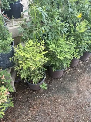 Miracles Landscaping