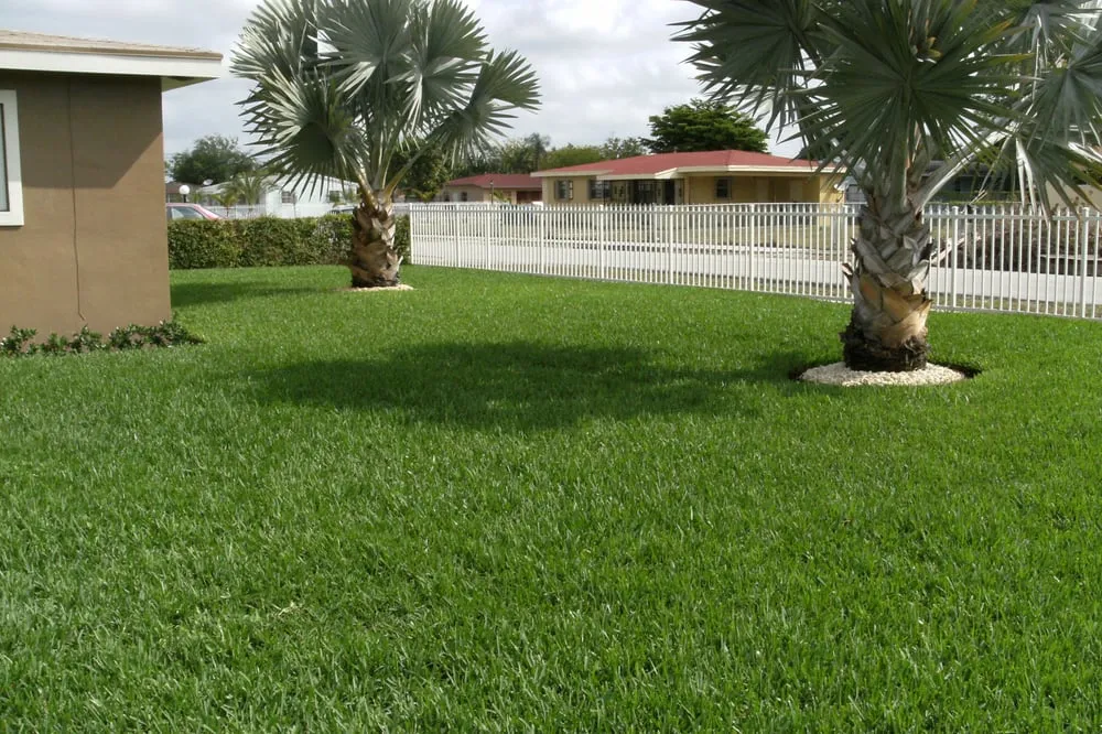 Reliable yard maintenance for year-round maintenance in Miramar, FL by Miracles' Landscaping Services