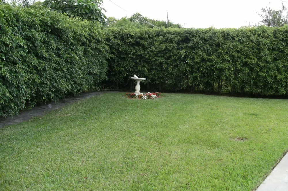 Affordable landscape installation for beautiful yards across Miramar, FL - Miracles' Landscaping Services