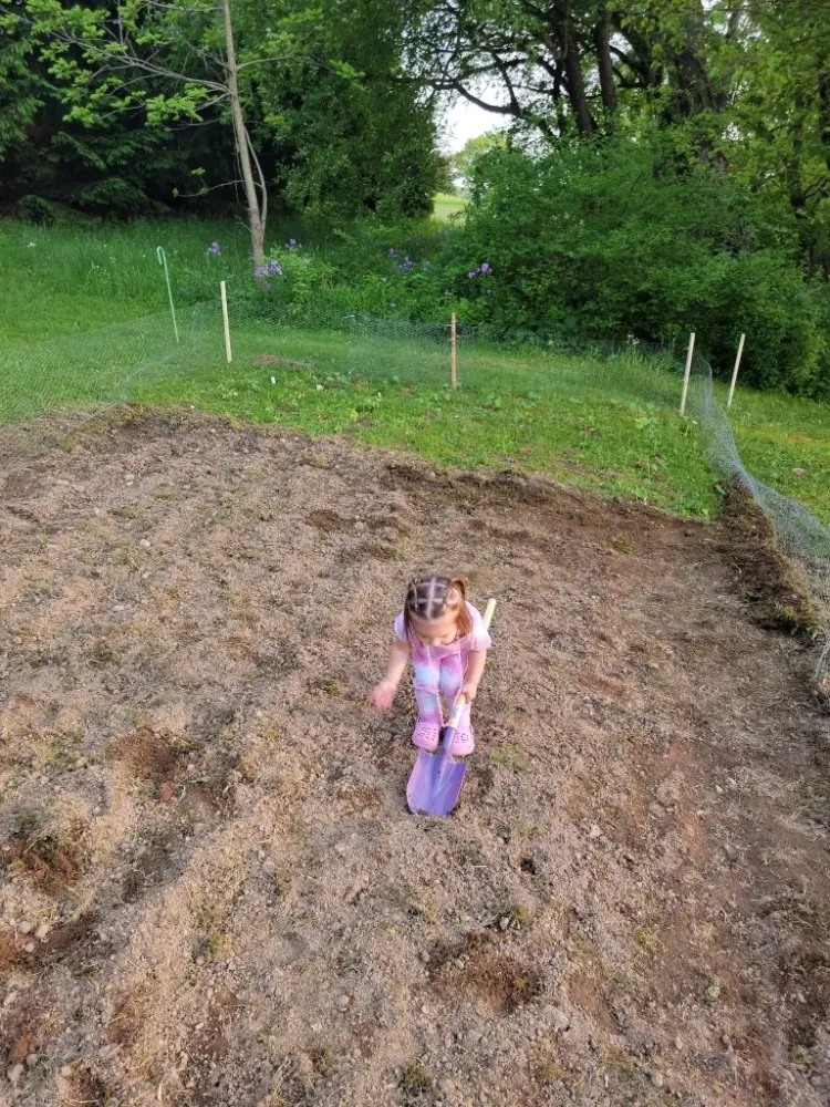 Reliable lawn care service with custom design across Connellsville, PA - Miraculous Clean Up Services