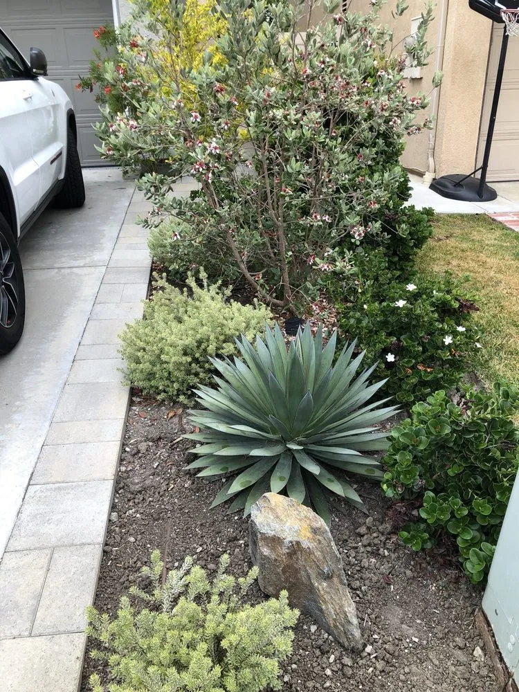 Reliable garden landscaping for year-round maintenance in Newport Beach, CA by Mirage Landscape
