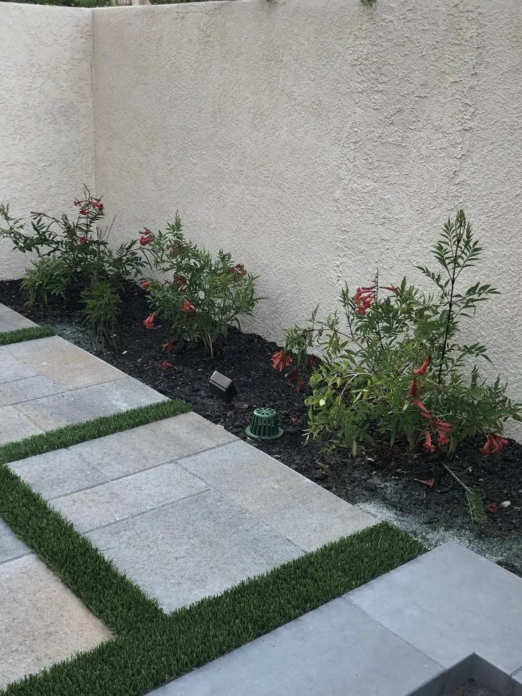Professional yard cleanup service in Newport Beach, CA - Mirage Landscape