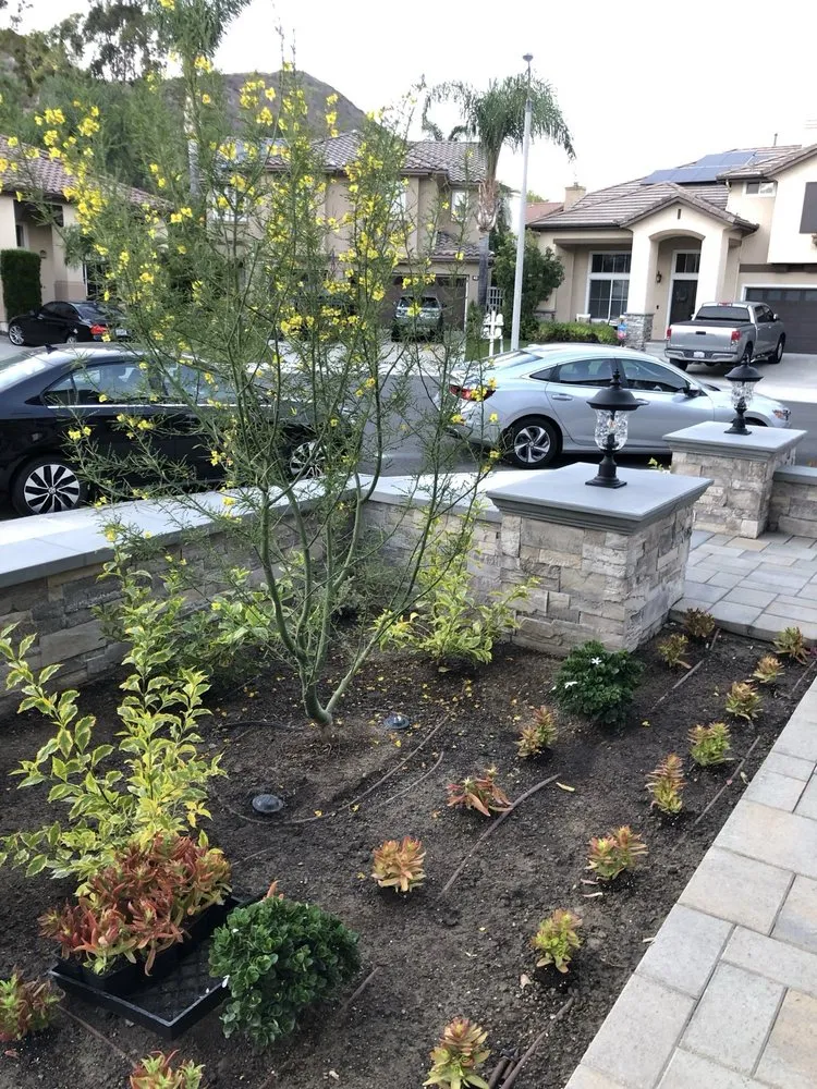 Top-rated lawn care service for outdoor upgrades across Newport Beach, CA - Mirage Landscape