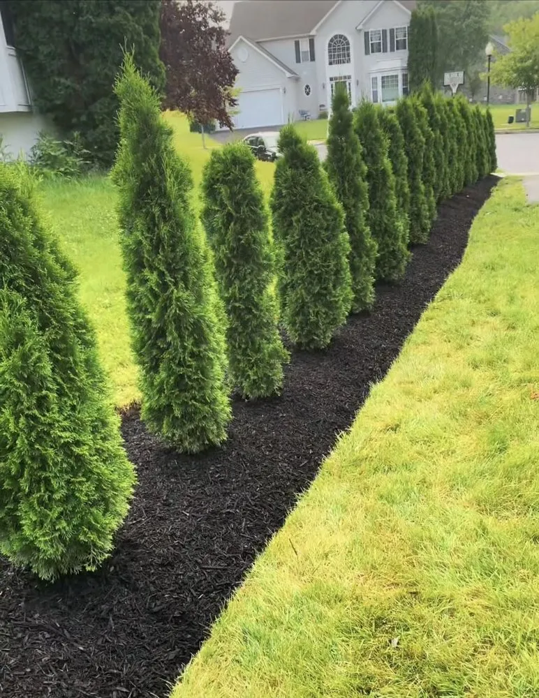 Expert lawn mowing service for year-round maintenance across Easton, PA - Miranda Contracting